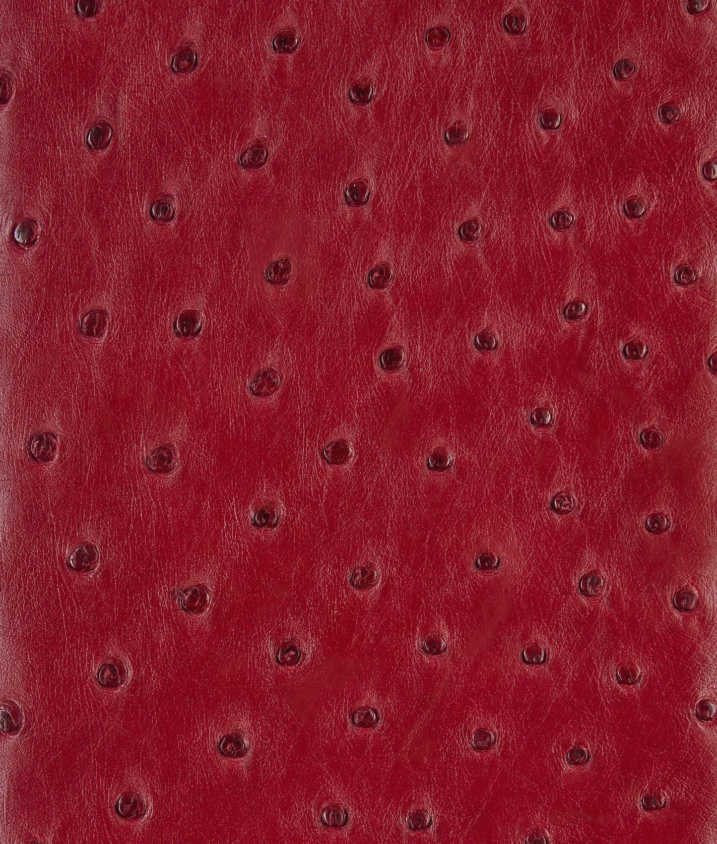 Pochette à anse en autruche avec fermeture knot emblématique en métal.