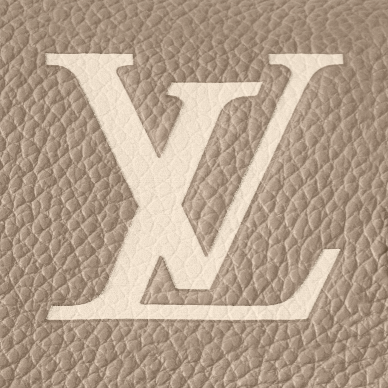 Sac Lv Nano Diane Monogram Empreinte Bicolore