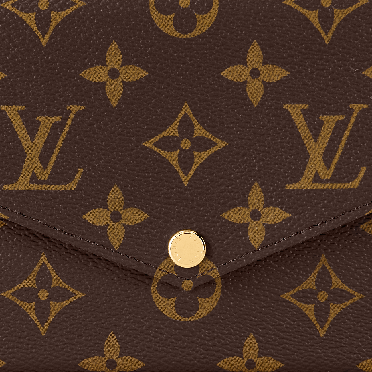 Félicie Pochette Lv Monogram Canvas