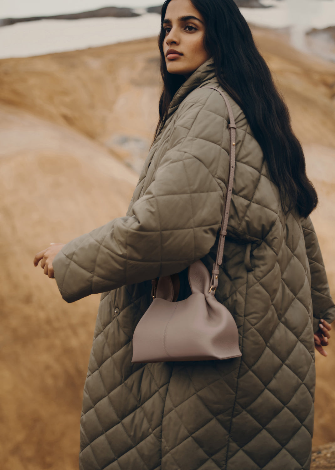 SAC POLÉNE EDITION TAUPE GRAINÉ