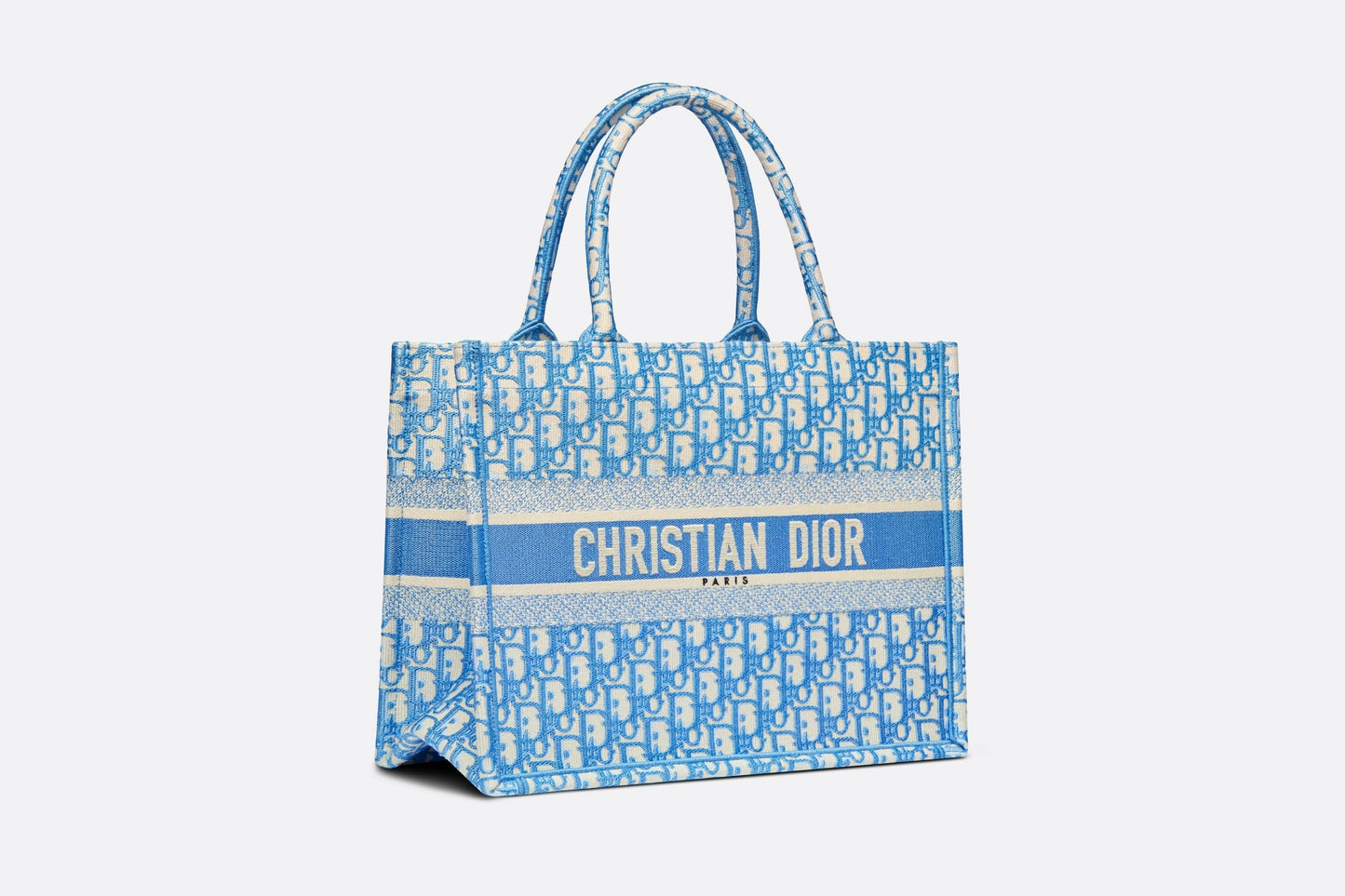 CRISTIAN DIOR BOOK TOTE CLOTH TOTE