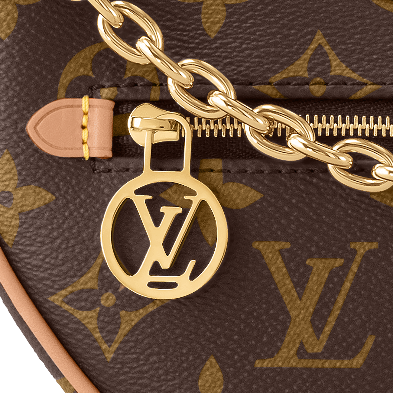 Sac Lv Loop Monogram