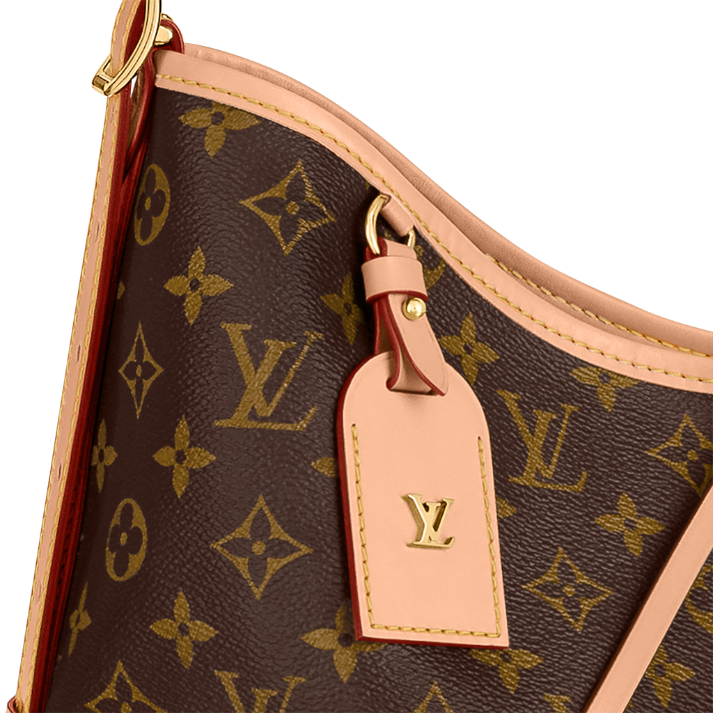 Sac LV CarryAll MM Toile Monogram