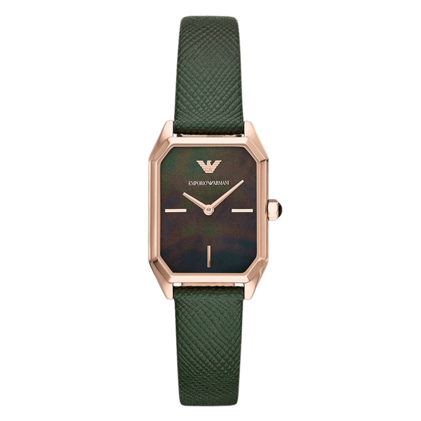 Montre Femme EA Gioia AR11149