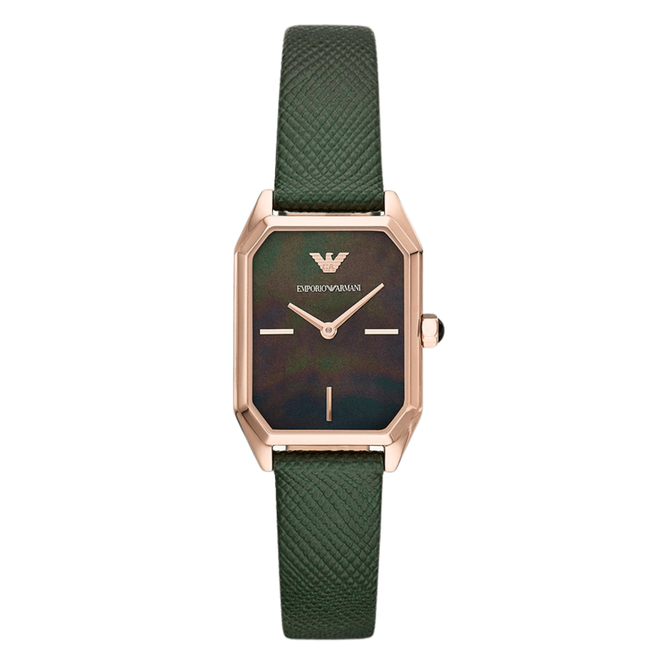 Montre Femme EA Gioia AR11149