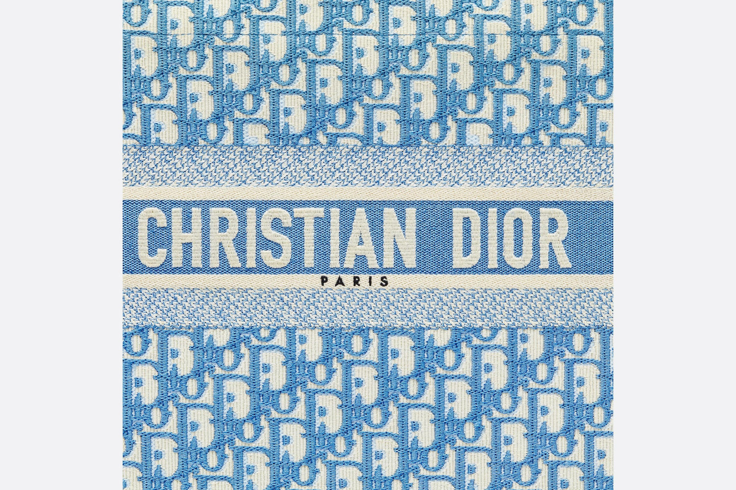 CRISTIAN DIOR BOOK TOTE CLOTH TOTE